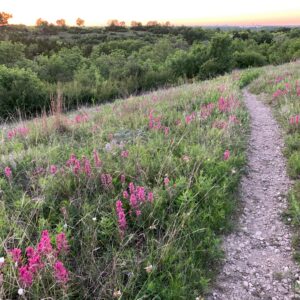 City of Fort Worth Park & Recreation Department Buys 16 Acres to Expand Tandy Hills Natural Area
